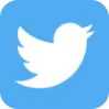 twitter ads icon